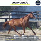 LUCKYDENUO - AQPS - 4 ANS 