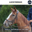 LUCKYDENUO - AQPS - 4 ANS 