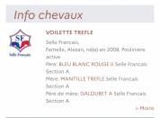Mâle 2024 par Consul dl vie 