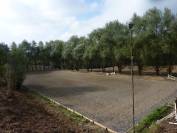 2 places en pension box terrasse