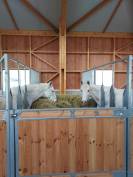 2 places en pension box terrasse