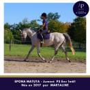 Superbe jument par MARTALINE issue famille d'obstacle