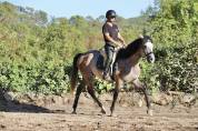 Cheval