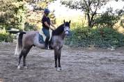 Cheval
