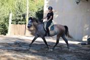 Cheval