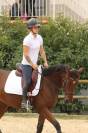 Trotteur français de 6 ans monté 