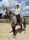 Magnifique Hongre Pure Race Espagnol PP de 8 ans 