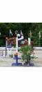 Ruin Welsh Pony (Section B) Te koop 2020 Vos