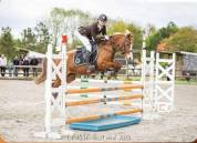 Ponette de compétition 