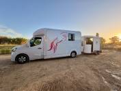 Van per Cavalli STX Haras stalles 2025 Nuovo