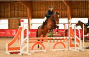 Jument cso amateur