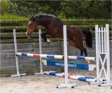Poney PFS 3ans