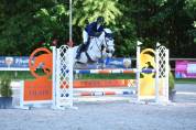 Poney à vendre 