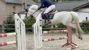 Poney à vendre 