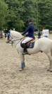 Poney à vendre 