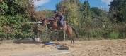 Cheval