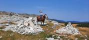 placement exceptionnel  jument quarter horse de coeur