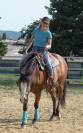 placement exceptionnel  jument quarter horse de coeur