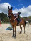 selles francais, 12 ans