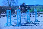 Poney de concours