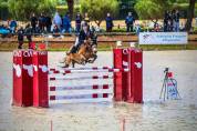 Poney de concours