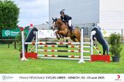 Caballo castrado Silla Francés En venta 2019 Alazán