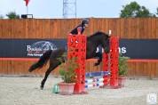 Poney de Sport 