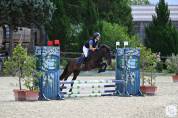 Poney de Sport 