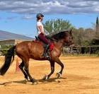 PRE plein papiers 13 ans polyvalent 