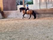 PRE plein papiers 13 ans polyvalent 