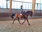 PRE plein papiers 13 ans polyvalent 