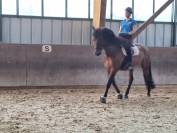 PRE plein papiers 13 ans polyvalent 