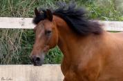 PRE plein papiers 13 ans polyvalent 