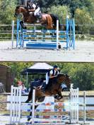 Cheval polyvalent,  parfait pour cross ou cso 