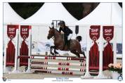 Poney B à vendre 