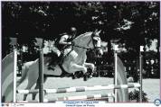 poney assurance vie pour enfants jusqu'en AS2