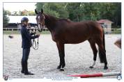 5 ans, Triple SF Fontainebleau 