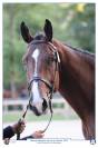 5 ans, Triple SF Fontainebleau 