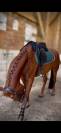 Vends Poney OC 6 ans
