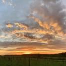 Les Ecuries d'Haravilliers - Pension box/paddock (95)