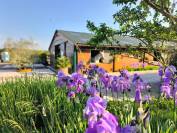 Les Ecuries d'Haravilliers - Pension box/paddock (95)