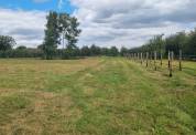 Pension pré chevaux et poneys - Le Noyer-en-Ouche (27)