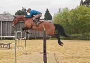 Jument CSO 7 ans, mental, force, equilibre
