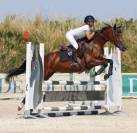 Jument SF 8ans idéale passage poney/cheval