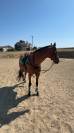 Recherche demi pension 