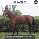 KIT RAFFLES - AQPS - 5 ANS