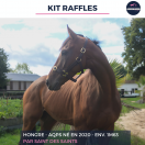 KIT RAFFLES - AQPS - 5 ANS
