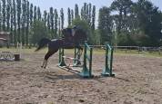 ARTAIOS 5 ans