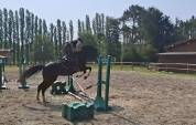 ARTAIOS 5 ans