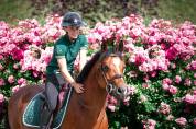 Hongre poney D 6 ans CSO par Linaro